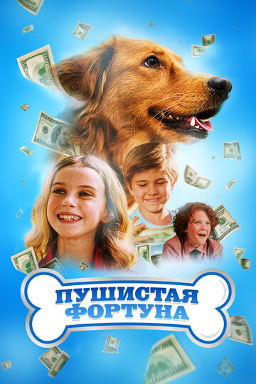 Пушистое состояние - постер фильма