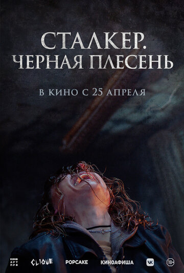 Сталкер. Черная плесень - постер фильма