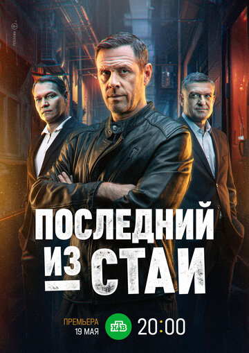 Последний из стаи - постер
