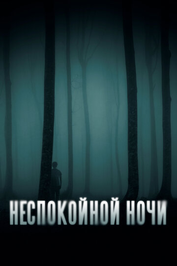 Неспокойной ночи - постер