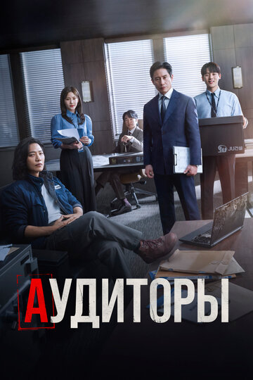 Аудиторы - постер