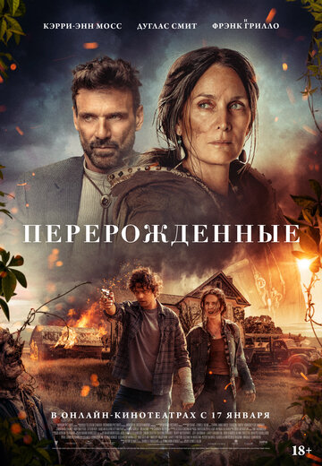 Спящая - постер