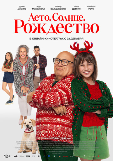 Рождество не по плану - постер